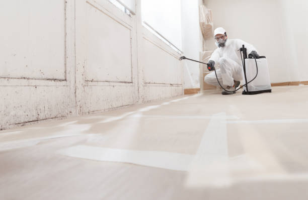 24/7 Emergency Black Mold Remediation experts in Harper Woods, MI